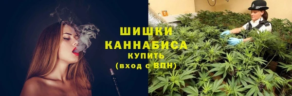 шишки Абаза
