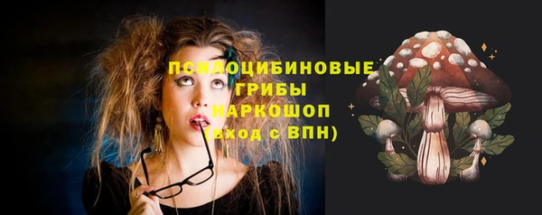 spice Алексин