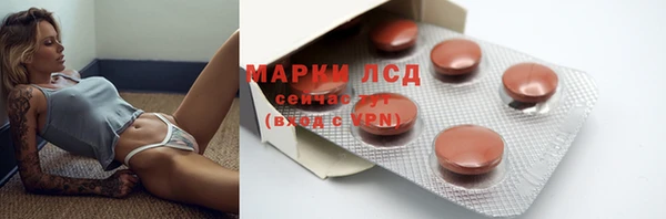 шишки Абаза