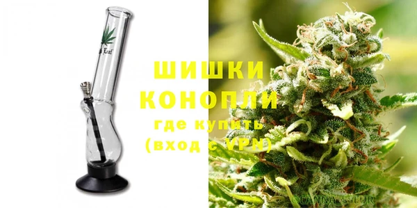 шишки Абаза