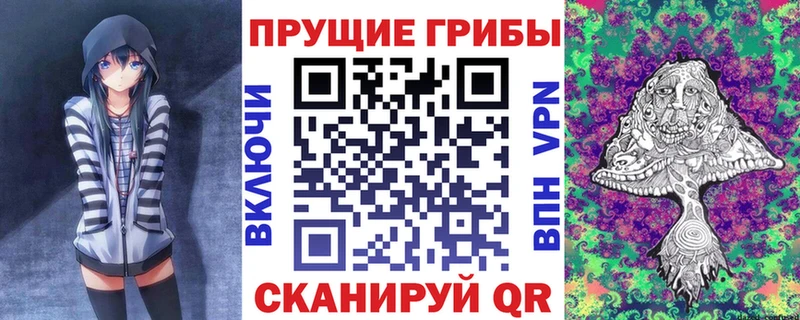 как найти закладки  Александровск  Галлюциногенные грибы Psilocybe 
